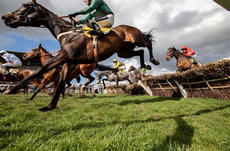 horse racing betting terms explained - horse racing betting types